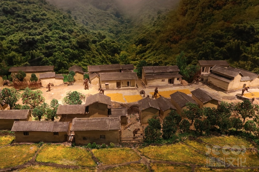 自然歷史展覽館的可持續設計應如何實現？